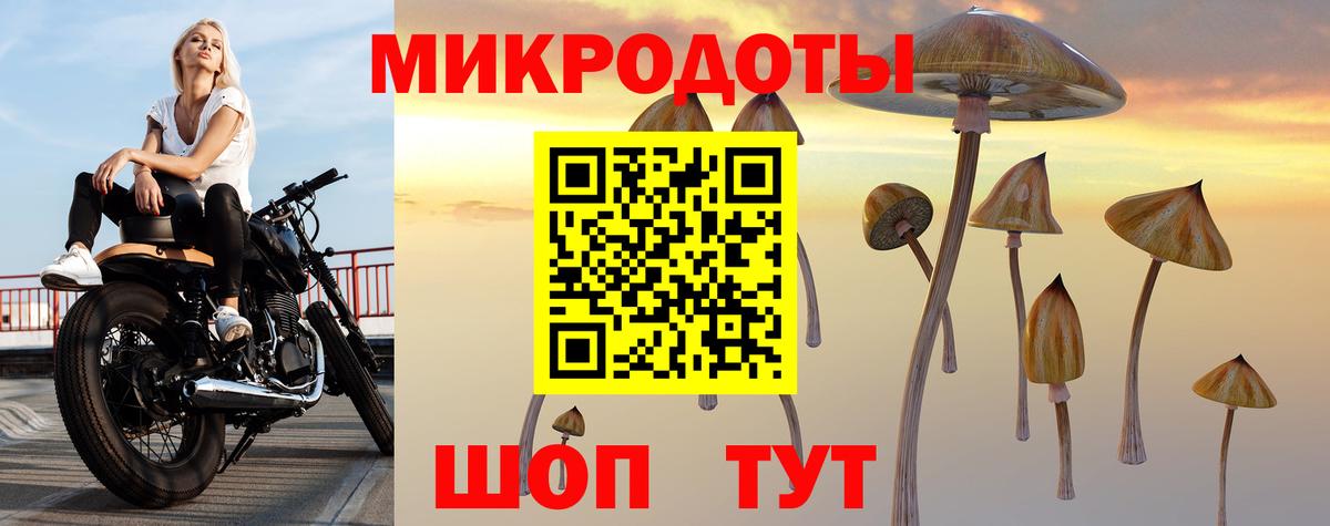 Галлюциногенные грибы Cubensis Октябрьский